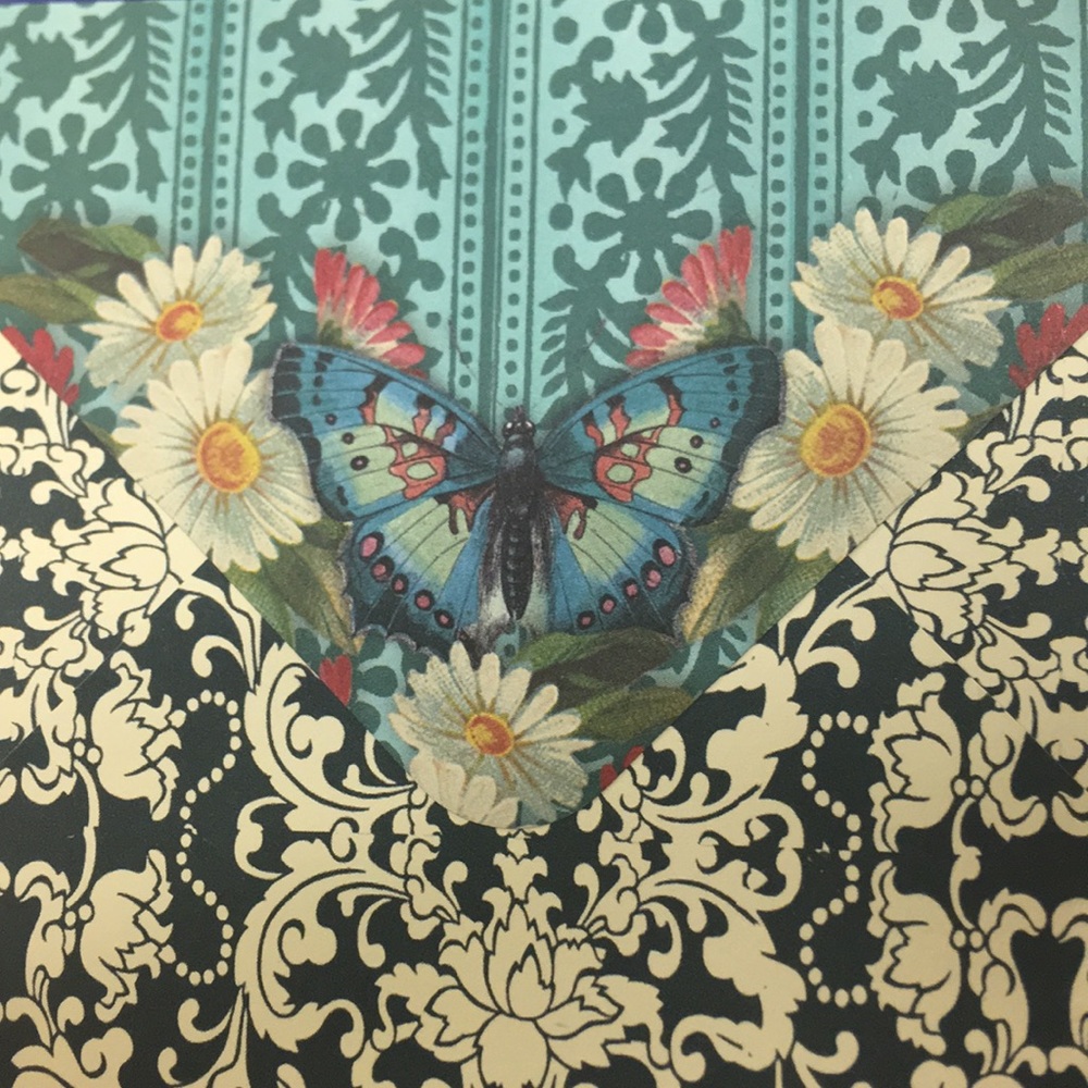 Check Out My Closet! ❤️🎀🦋